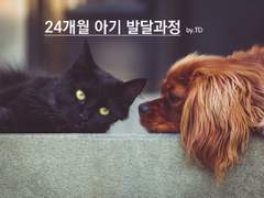 [태웅대만] 24개월 아기 발달과정