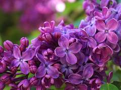 지희오ㅣ어둑시니ㅣ500