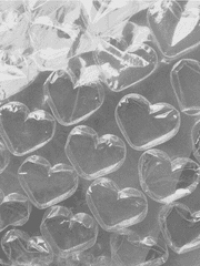 호랑이 아가와 전교수님