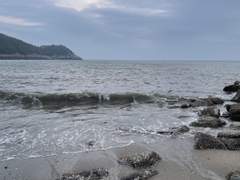 [멍순] 7/5ㅣ늦은 인사