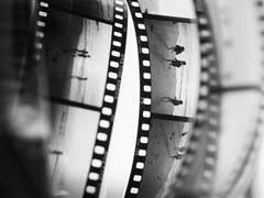 기억된다는 그 자체로도 인생이다