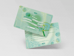 낙수단 청량 시안 유료 배포