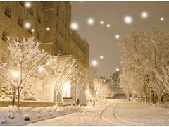 [순종적인 유산/재호리우] Merry marry Christmas🎄