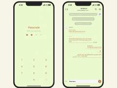 433. #01 yellowgreen + brown