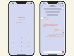 434. #02 lavender + orange