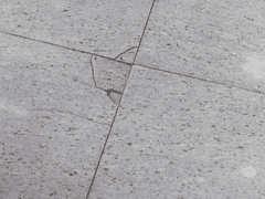 [002]정신이 없어서 정신이 정말 없어서