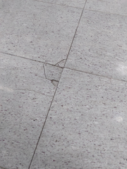 비정기적이 기록물 22년