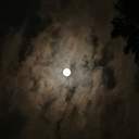 pixiv가 없으니까