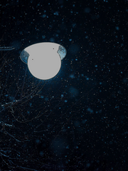 썰 커미션 + 기타 작업물