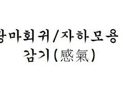 [광마회귀/자하모용] 감기(感氣)