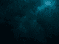 한국대학교 :Police Admin2000 CAST