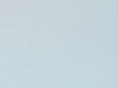 모냐 배포물 이용규약