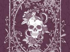 [스팁레오] sollicitúdo 선입금 샘플