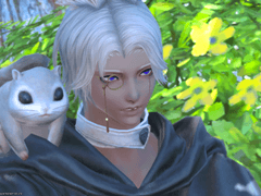 팦생에 나라는 언약자 도장찍기