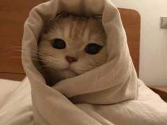 엔시티 홍일점 막내 여주 생활기 005