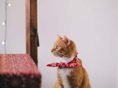 당신도 몰랐던 '귀하고 품격있는' 사람들의 숨겨진 특징과 그들로부터 배울 수 있는 생활의 지혜