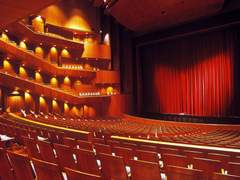 Stella (스텔라) * 27 * XY * 아니마