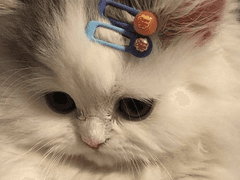 엔시티 홍일점 김여주