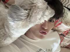 강아지 보여주라 insta