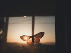 문대주단 [When you become an adult]