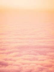 절대 마법사의 복수록