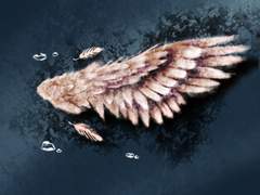 너로 인해 베어진 날개