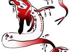 [ 분양 받은 아가들-2 ]