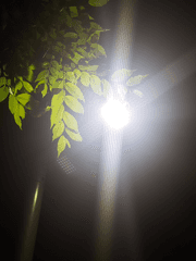 [한국예술종합학교] 초고의 단편선 프로젝트