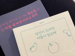 아무것도 아니면서 모든 것의 플리