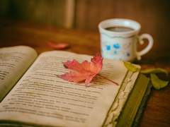 로제타 글 커미션 [CLOSE]