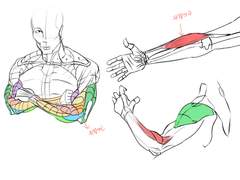 2023년 7월 8일 (토) <해부학>