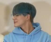 개한테 물렸으면 어떻게 해야 하나요 2