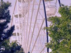 우리가 사랑한 서로를 위해