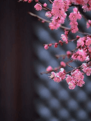 얼레벌레 중원에서 살아남기