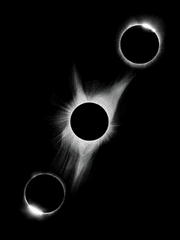 [고죠게토]여우와 설표