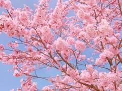 그 봄날에 있었던 우리의 소소한 일상