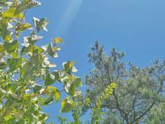 추신을 꼭 확인해 줘 1/2