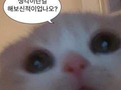 엔시티 홍일점 김여주