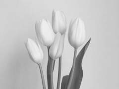 사랑의 기술 上