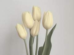 사랑의 기술 中