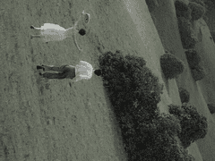 야수에게 올바른 답을