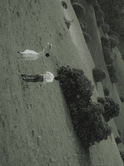 야수에게 올바른 답을