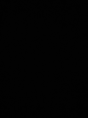 화산고 1학년 김청명