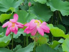 우리가 사는 의미는