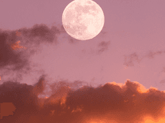 나 잘하고 있는거겠지?-2