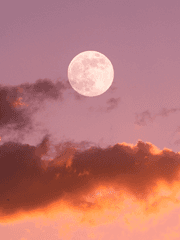 난 정말 잘하고 있는걸까..?