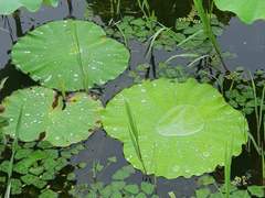 친한 사이 일수록 더 신경 써라!