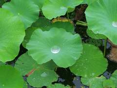 삶은 계속되어야 해!