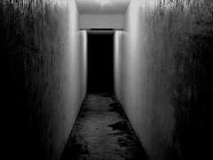 [뜰팁] 平行世界