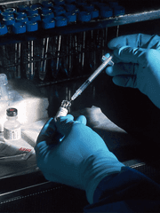 살아남은 아이들